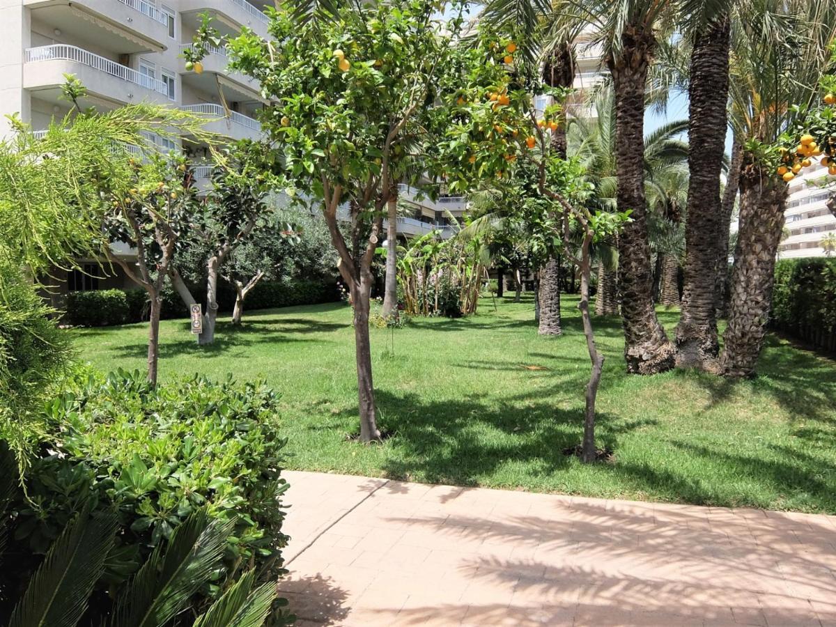 Apartamento Parque Mota - Alquiler Solo A Familias Playa de Gandía Exterior foto